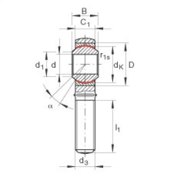 FAG Rod ends - GAKL30-PW