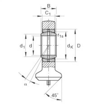 FAG Hydraulic rod ends - GK70-DO