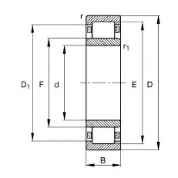 FAG Cylindrical roller bearings - NU1006-XL-M1