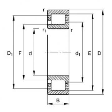 FAG Cylindrical roller bearings - NJ206-E-XL-TVP2