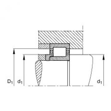 FAG Cylindrical roller bearings - NJ204-E-XL-TVP2 + HJ204-E