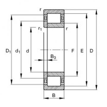 FAG Cylindrical roller bearings - NUP205-E-XL-TVP2