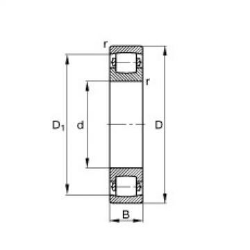 FAG Barrel roller bearings - 20221-MB