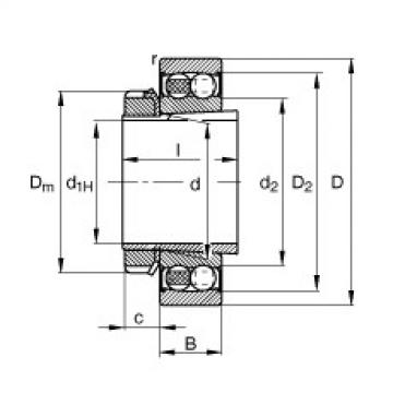 FAG Self-aligning ball bearings - 2211-K-2RS-TVH-C3 + H311