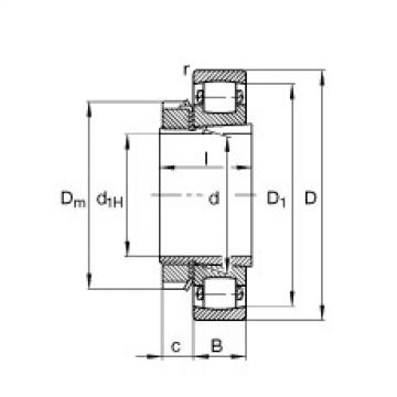 FAG Barrel roller bearings - 20213-K-TVP-C3 + H213