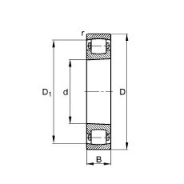 FAG Barrel roller bearings - 20205-K-TVP-C3