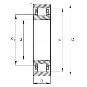 FAG Cylindrical roller bearings - N10/500-K-M1-SP