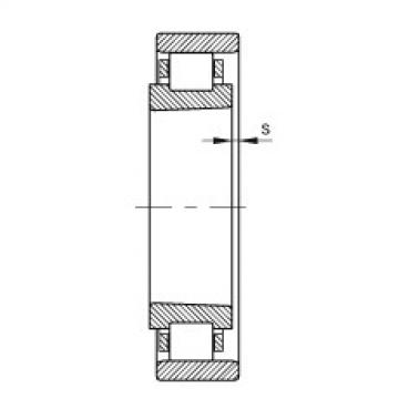 FAG Cylindrical roller bearings - N1006-K-M1-SP