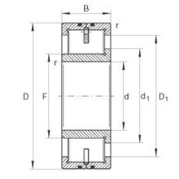 FAG Cylindrical roller bearings - LSL192319-TB-XL