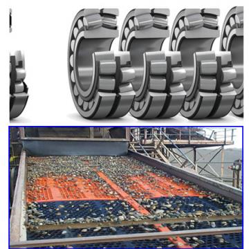 SKF For Vibratory Applications 22311YMW33W800C4 BEARINGS