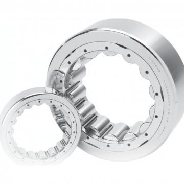 Bearing NU1060MA