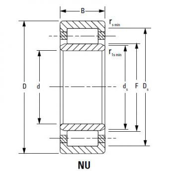 Bearing NF2984EMB