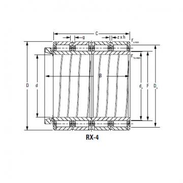 Bearing 510ARXS2461 569RXS2461