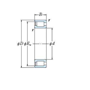 Bearing NCF2980V