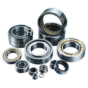  1175252 Radial shaft seals for heavy industrial applications