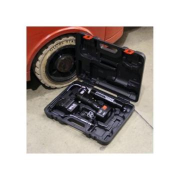 Sealey CPG18V Cordless Grease Gun 18V 18 Volt Plus 2 Batteries Case Rechargeable