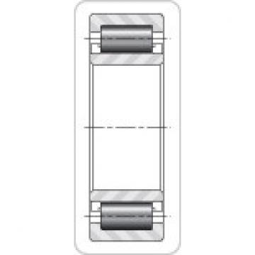 Timken NU1030MA