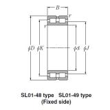 Bearing SL01-4848