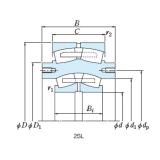 Bearing 2PSL240-1UPA